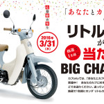 「あなたとカブの物語」キャンペーン