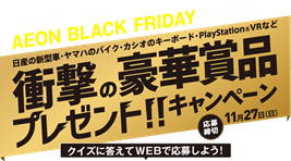 イオンブラックフライデイ